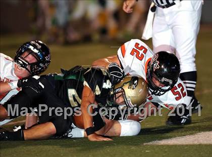 Thumbnail 2 in Springtown @ Birdville photogallery.