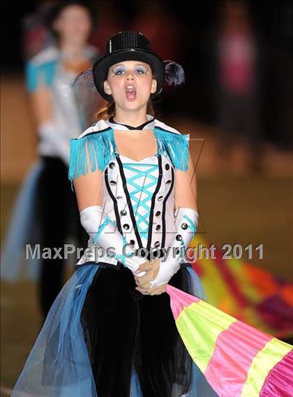 Thumbnail 2 in Springtown @ Birdville photogallery.