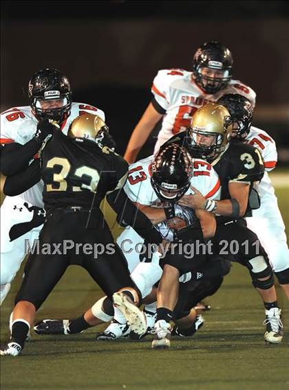 Thumbnail 1 in Springtown @ Birdville photogallery.