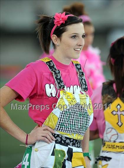 Thumbnail 3 in Springtown @ Birdville photogallery.