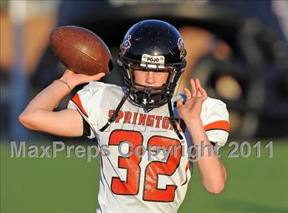 Thumbnail 3 in Springtown @ Birdville photogallery.