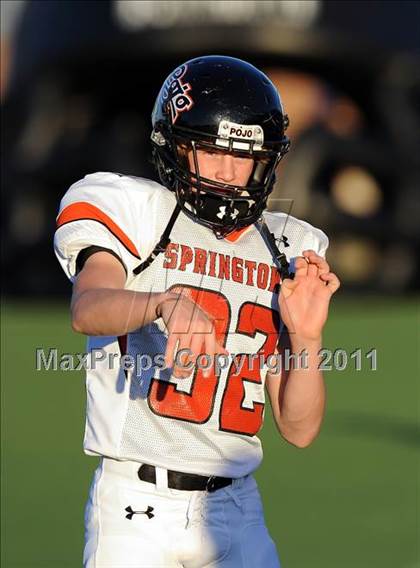 Thumbnail 2 in Springtown @ Birdville photogallery.