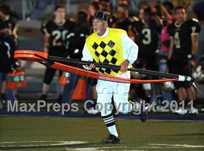 Thumbnail 1 in Springtown @ Birdville photogallery.