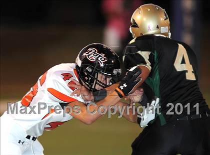 Thumbnail 2 in Springtown @ Birdville photogallery.