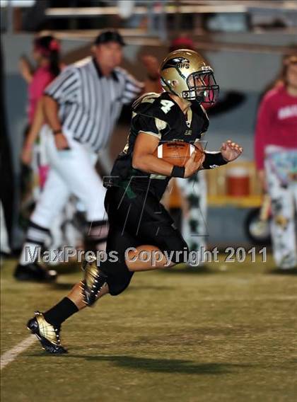 Thumbnail 3 in Springtown @ Birdville photogallery.