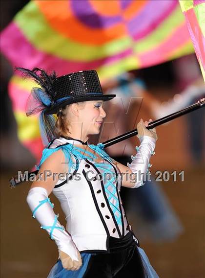 Thumbnail 2 in Springtown @ Birdville photogallery.