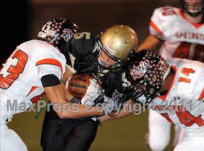 Thumbnail 3 in Springtown @ Birdville photogallery.
