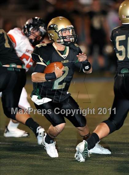 Thumbnail 3 in Springtown @ Birdville photogallery.
