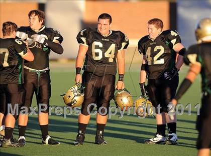 Thumbnail 3 in Springtown @ Birdville photogallery.
