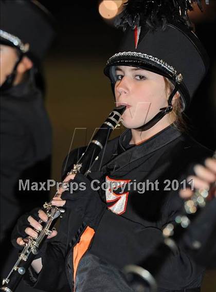 Thumbnail 3 in Springtown @ Birdville photogallery.