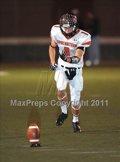 Thumbnail 3 in Springtown @ Birdville photogallery.