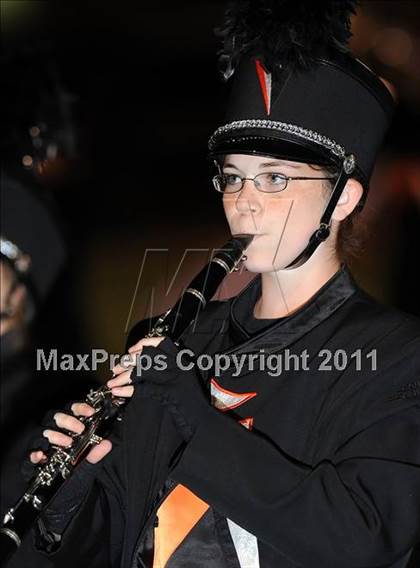 Thumbnail 2 in Springtown @ Birdville photogallery.