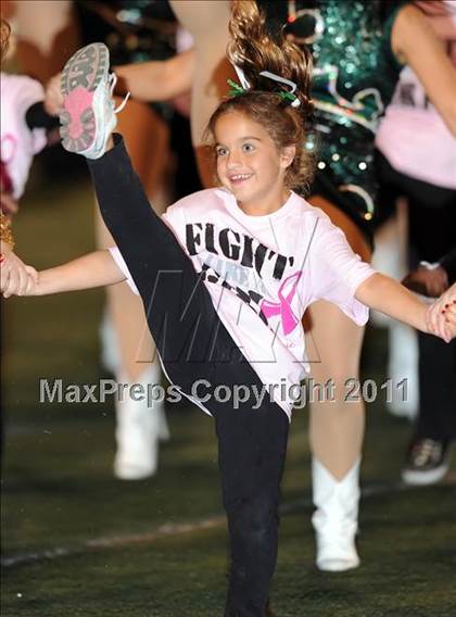Thumbnail 3 in Springtown @ Birdville photogallery.