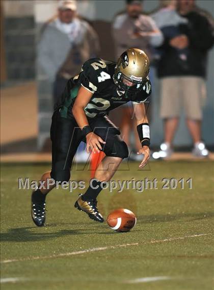 Thumbnail 1 in Springtown @ Birdville photogallery.