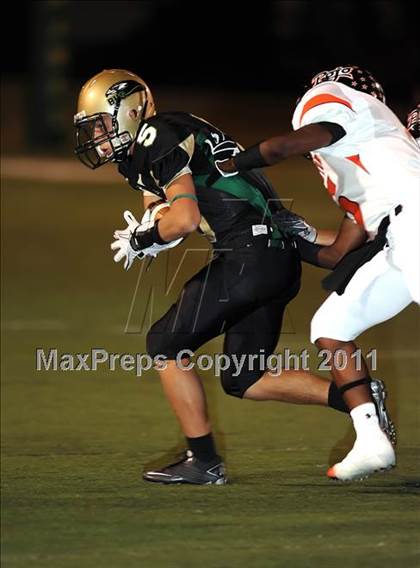 Thumbnail 1 in Springtown @ Birdville photogallery.