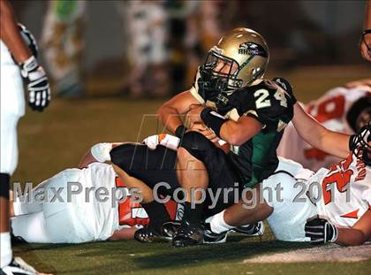 Thumbnail 3 in Springtown @ Birdville photogallery.