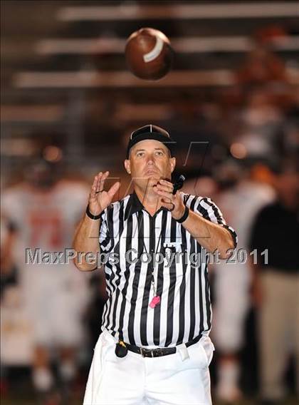 Thumbnail 2 in Springtown @ Birdville photogallery.