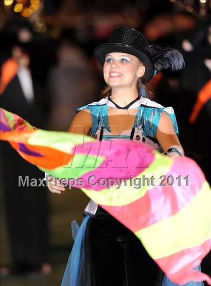 Thumbnail 3 in Springtown @ Birdville photogallery.