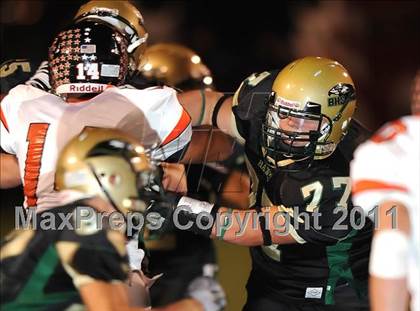 Thumbnail 1 in Springtown @ Birdville photogallery.