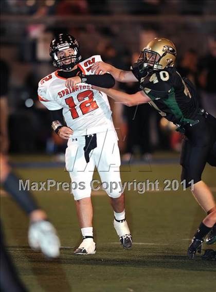 Thumbnail 1 in Springtown @ Birdville photogallery.