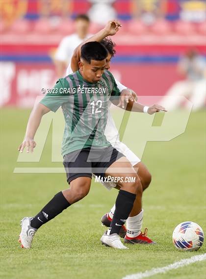 Thumbnail 3 in Green Canyon vs. Mountain Crest (UHSAA 4A Final) photogallery.