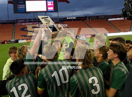 Thumbnail 1 in Green Canyon vs. Mountain Crest (UHSAA 4A Final) photogallery.