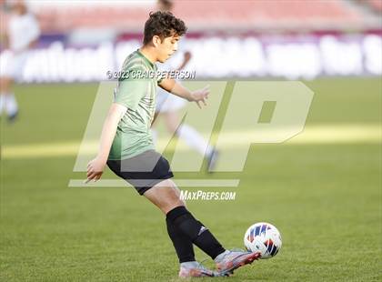 Thumbnail 3 in Green Canyon vs. Mountain Crest (UHSAA 4A Final) photogallery.