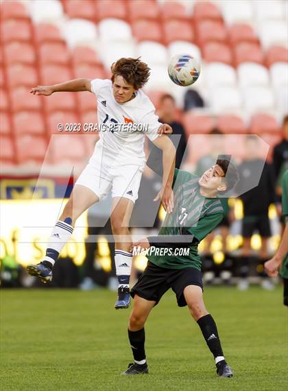 Thumbnail 3 in Green Canyon vs. Mountain Crest (UHSAA 4A Final) photogallery.