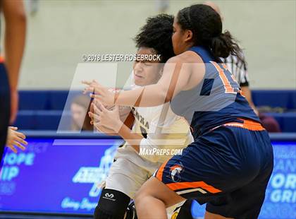 Thumbnail 3 in Brennan @ Brandeis photogallery.