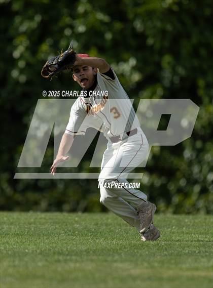 Thumbnail 2 in Cardinal Newman @ Windsor (The Rec) photogallery.