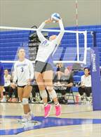 Photo from the gallery "Mountain View @ Bingham"