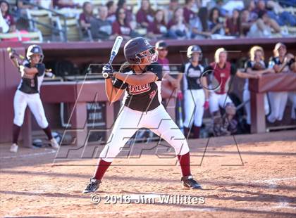 Thumbnail 3 in Ray vs. Santa Cruz Valley  (AIA D5 Final) photogallery.
