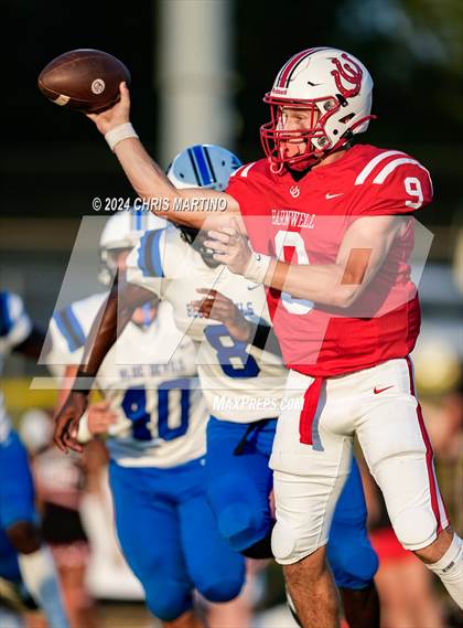 Thumbnail 1 in Williston-Elko @ Barnwell photogallery.