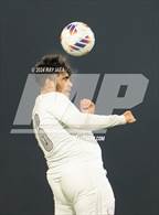 Photo from the gallery "Natomas @ Valley"