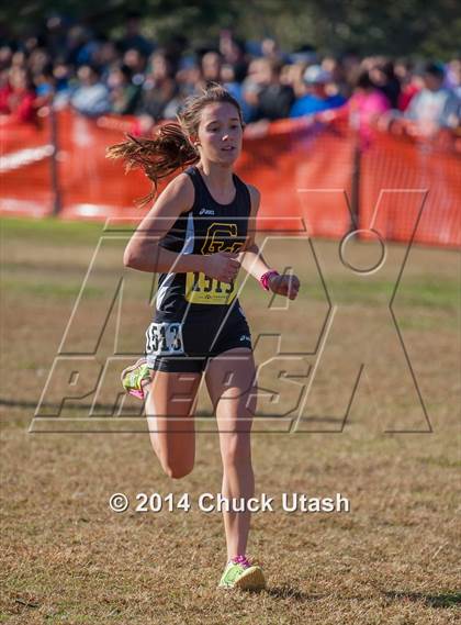 Thumbnail 2 in CIF State Cross Country Championships (D2 Girls Race) photogallery.