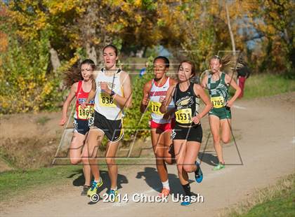 Thumbnail 3 in CIF State Cross Country Championships (D2 Girls Race) photogallery.