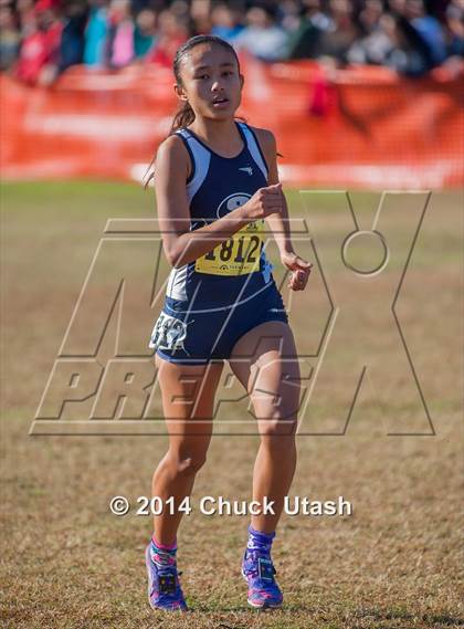 Thumbnail 1 in CIF State Cross Country Championships (D2 Girls Race) photogallery.