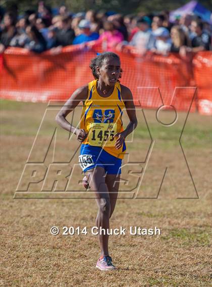 Thumbnail 3 in CIF State Cross Country Championships (D2 Girls Race) photogallery.