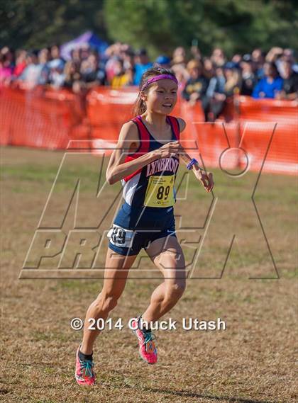 Thumbnail 1 in CIF State Cross Country Championships (D2 Girls Race) photogallery.