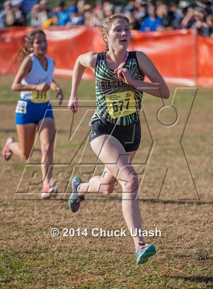 Thumbnail 3 in CIF State Cross Country Championships (D2 Girls Race) photogallery.