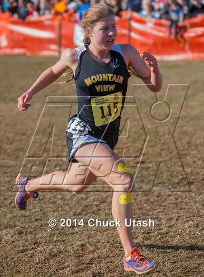 Thumbnail 1 in CIF State Cross Country Championships (D2 Girls Race) photogallery.