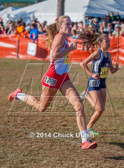 Thumbnail 2 in CIF State Cross Country Championships (D2 Girls Race) photogallery.