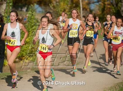 Thumbnail 2 in CIF State Cross Country Championships (D2 Girls Race) photogallery.