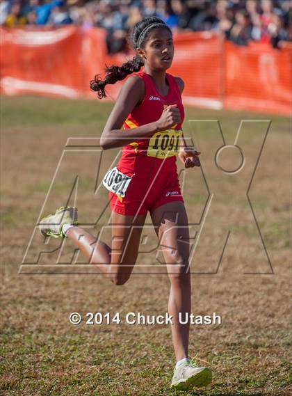 Thumbnail 1 in CIF State Cross Country Championships (D2 Girls Race) photogallery.