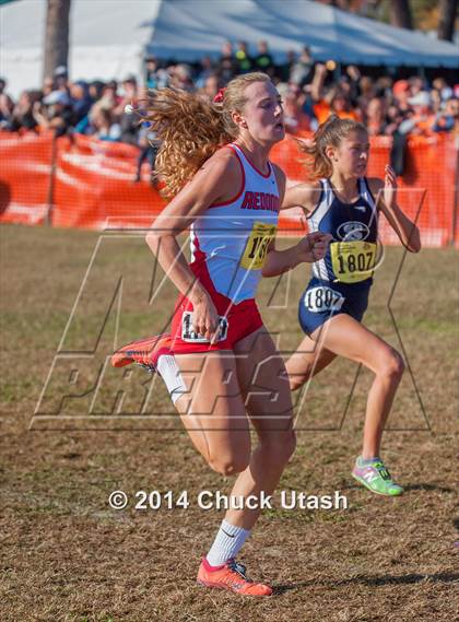 Thumbnail 3 in CIF State Cross Country Championships (D2 Girls Race) photogallery.