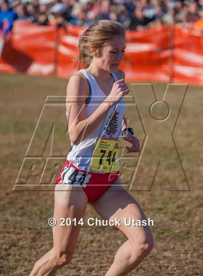 Thumbnail 3 in CIF State Cross Country Championships (D2 Girls Race) photogallery.