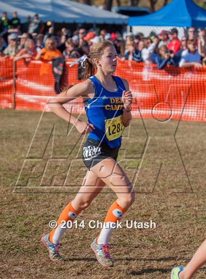 Thumbnail 1 in CIF State Cross Country Championships (D2 Girls Race) photogallery.