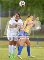 Photo from the gallery "Knightdale @ East Wake"