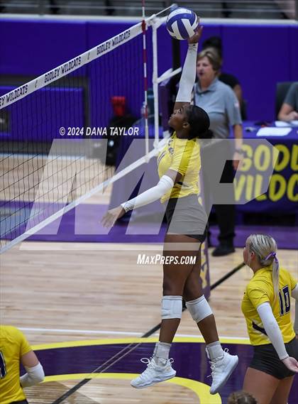 Thumbnail 3 in Ponder @ Godley photogallery.