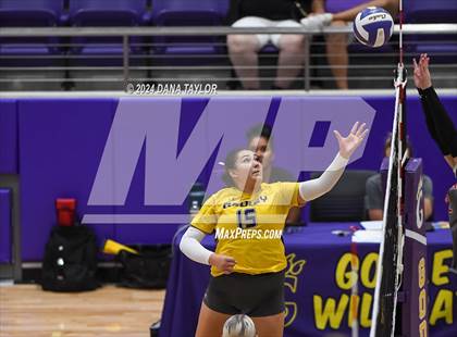 Thumbnail 2 in Ponder @ Godley photogallery.